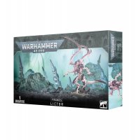 51-29 - Lictor