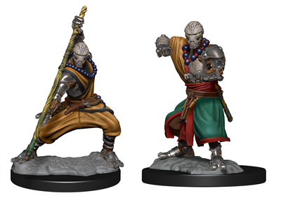 Warforged Monk - Nolzurs Marvelous Miniatures
