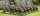 Oathmark - Dwarf Heavy Infantry