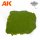 AK1217 - Plague Ground, 100ml