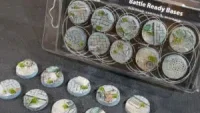 Battle Ready Bases - Urban Warfare - Round, 25mm (10)