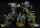 Dark Reflections (Umbra)
