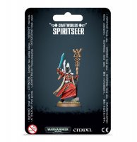 46-61 - Spiritseer