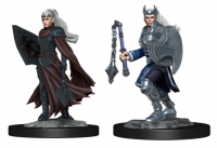 Kalashtar Cleric (Female) - Nolzurs Marvelous Miniatures