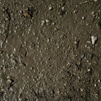 AK8016 - Wet Ground, 250ml