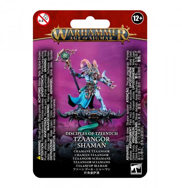 83-76 - Tzaangor Shaman