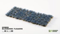 Bluebeard Flowers Tufts
