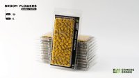 Broom Flowers Tufts