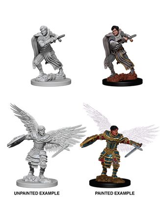 Aasimar Fighter - Nolzurs Marvelous Miniatures