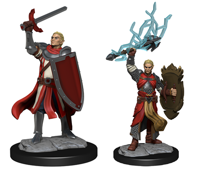 Half-Elf Paladin Male - Nolzurs Marvelous Miniatures