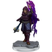 Half-Elf Warlock (Female) - Nolzurs Marvelous Miniatures
