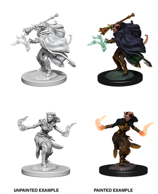 Tiefling Warlock (Female) - Nolzurs Marvelous Miniatures