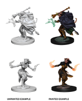 Tiefling Warlock (Female) - Nolzurs Marvelous Miniatures